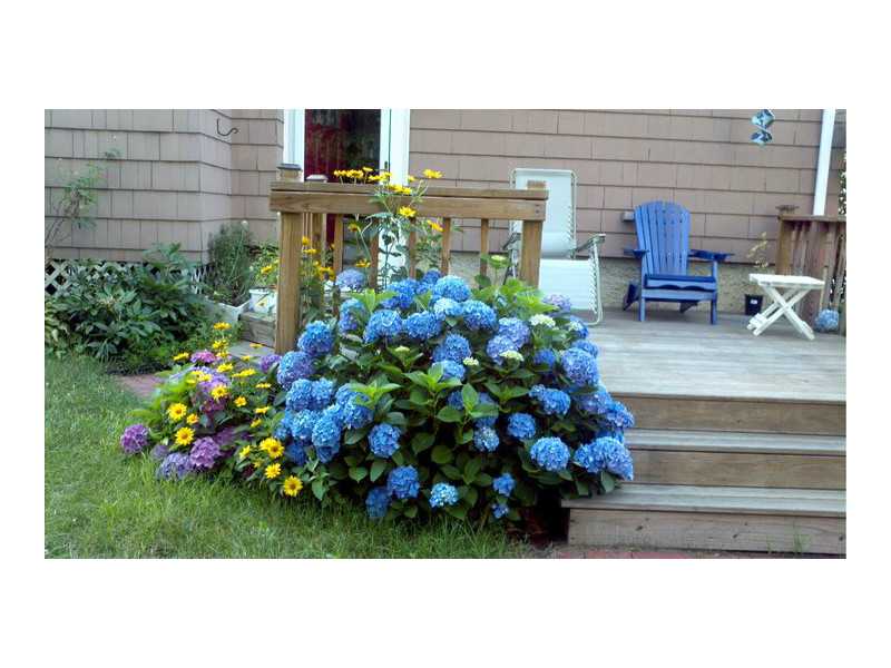 20 Mayfair Road Warwick, RI 02888 - Photo 24 of 25 Exterior Back.