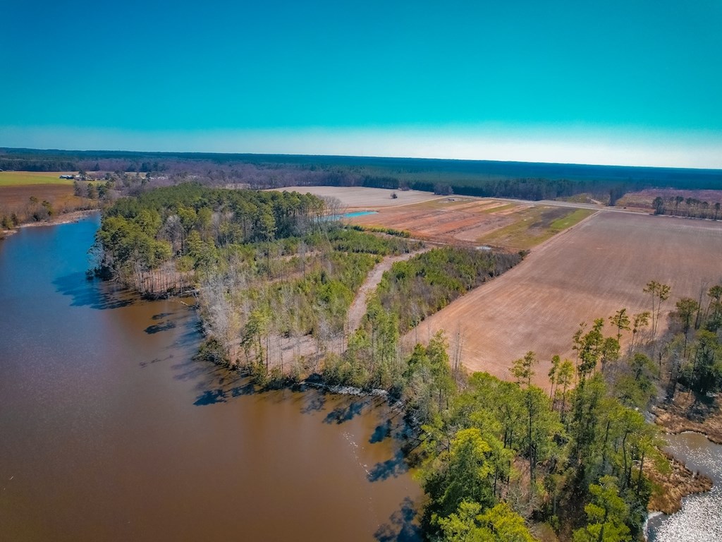 76.19-ac Saxis Road Temperanceville, VA 23442 - Photo 2 of 37