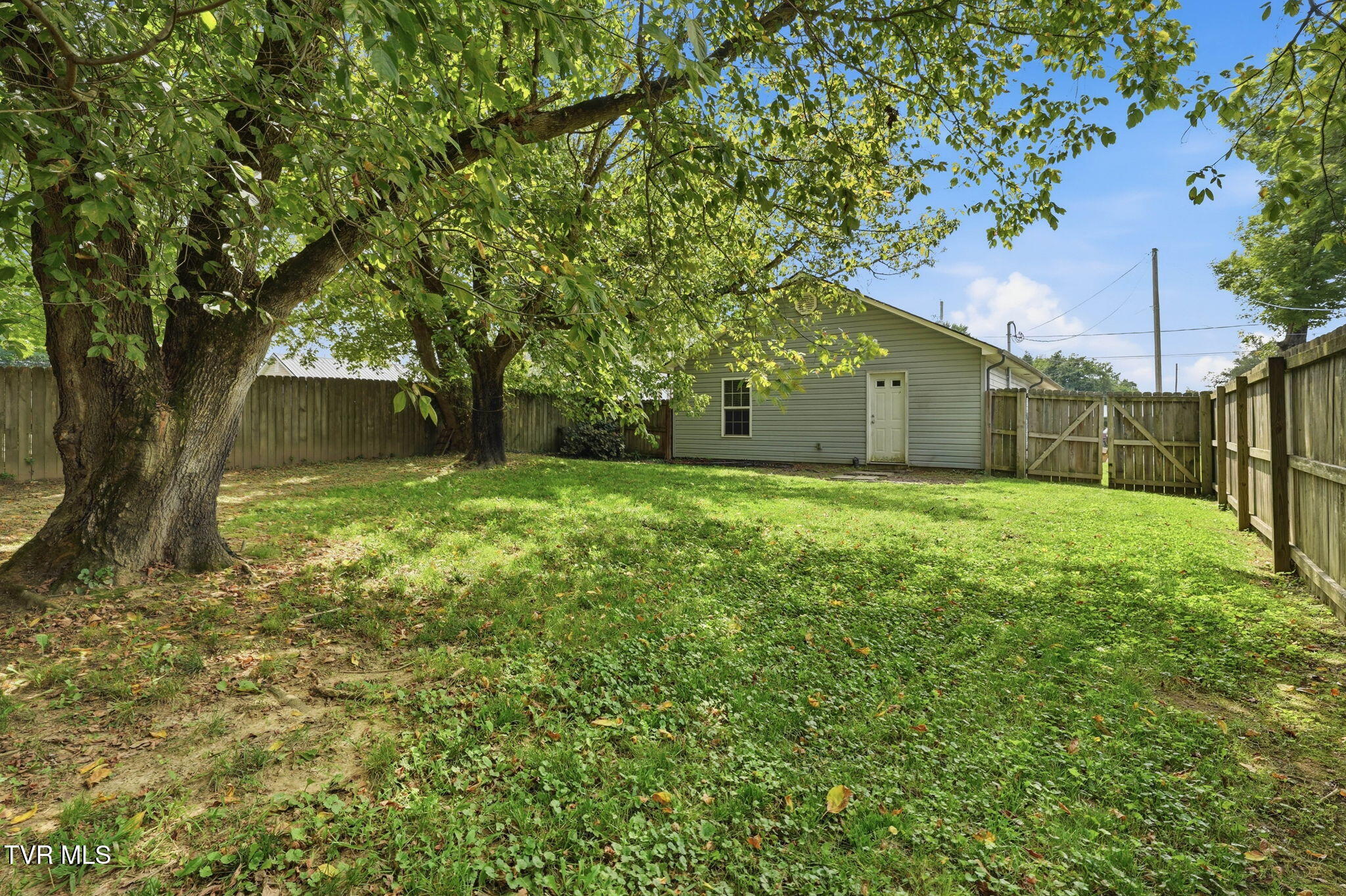 2506 Overlook Road Kingsport, TN 37664 - Photo 13 of 17 Backyard
