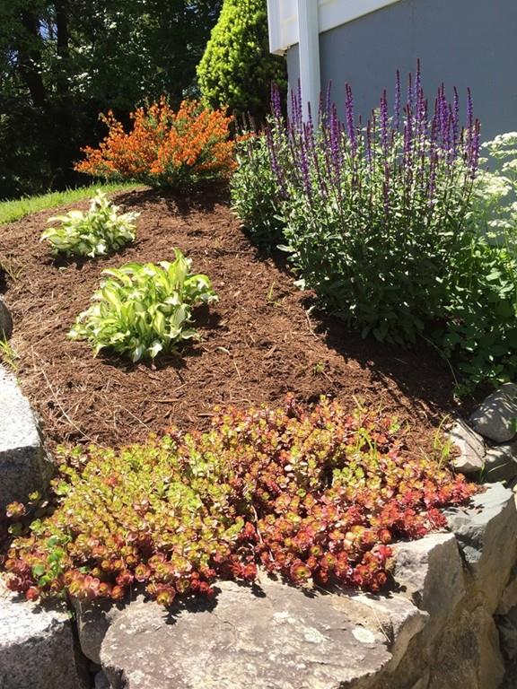 79 Bird Road Norwood, MA 02062 - Photo 33 of 41 Gallery Image 33