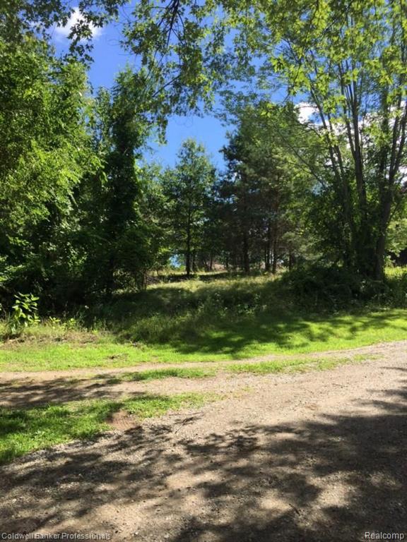 0 Cayuga Road Lake Orion, MI 48362 - Photo 4 of 14