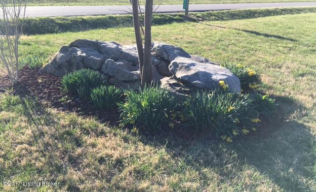 1445 Berry-Cain Road Guston, KY 40142 - Photo 20 of 57 Rock garden