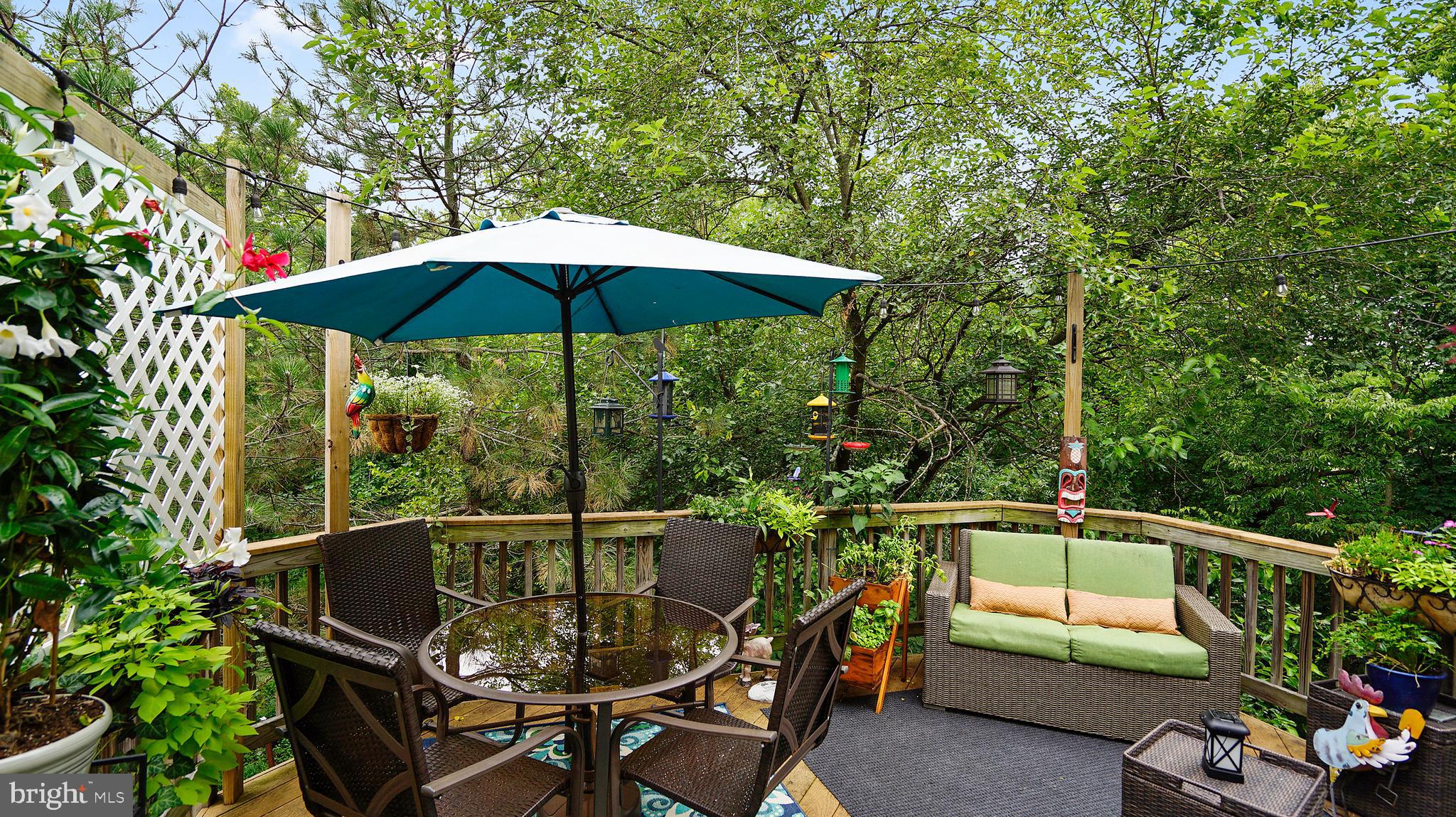 21103 Footstep Terrace Ashburn, VA 20147 - Photo 13 of 36 Deck off Living Room