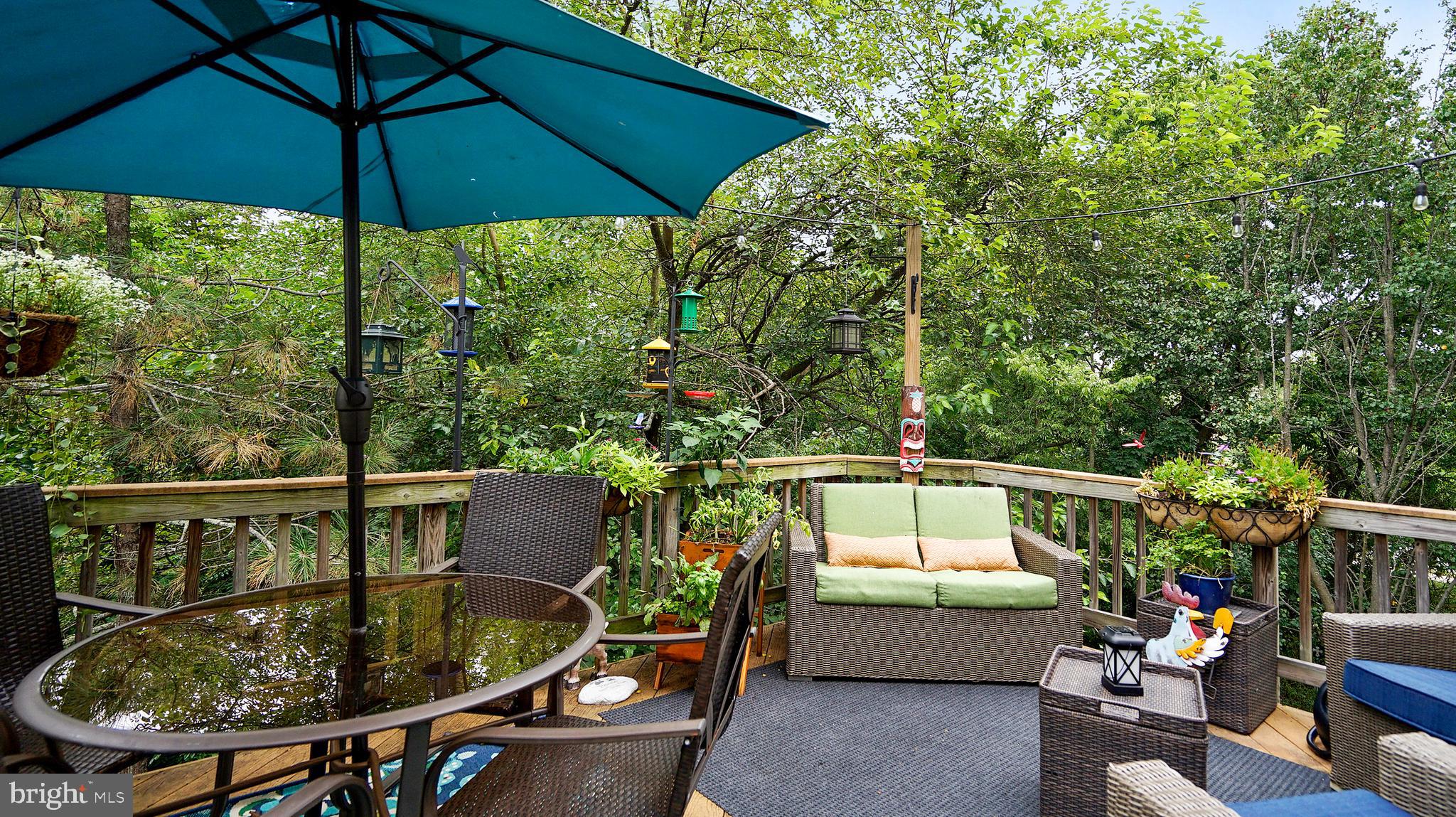 21103 Footstep Terrace Ashburn, VA 20147 - Photo 14 of 36 Deck off Living Room