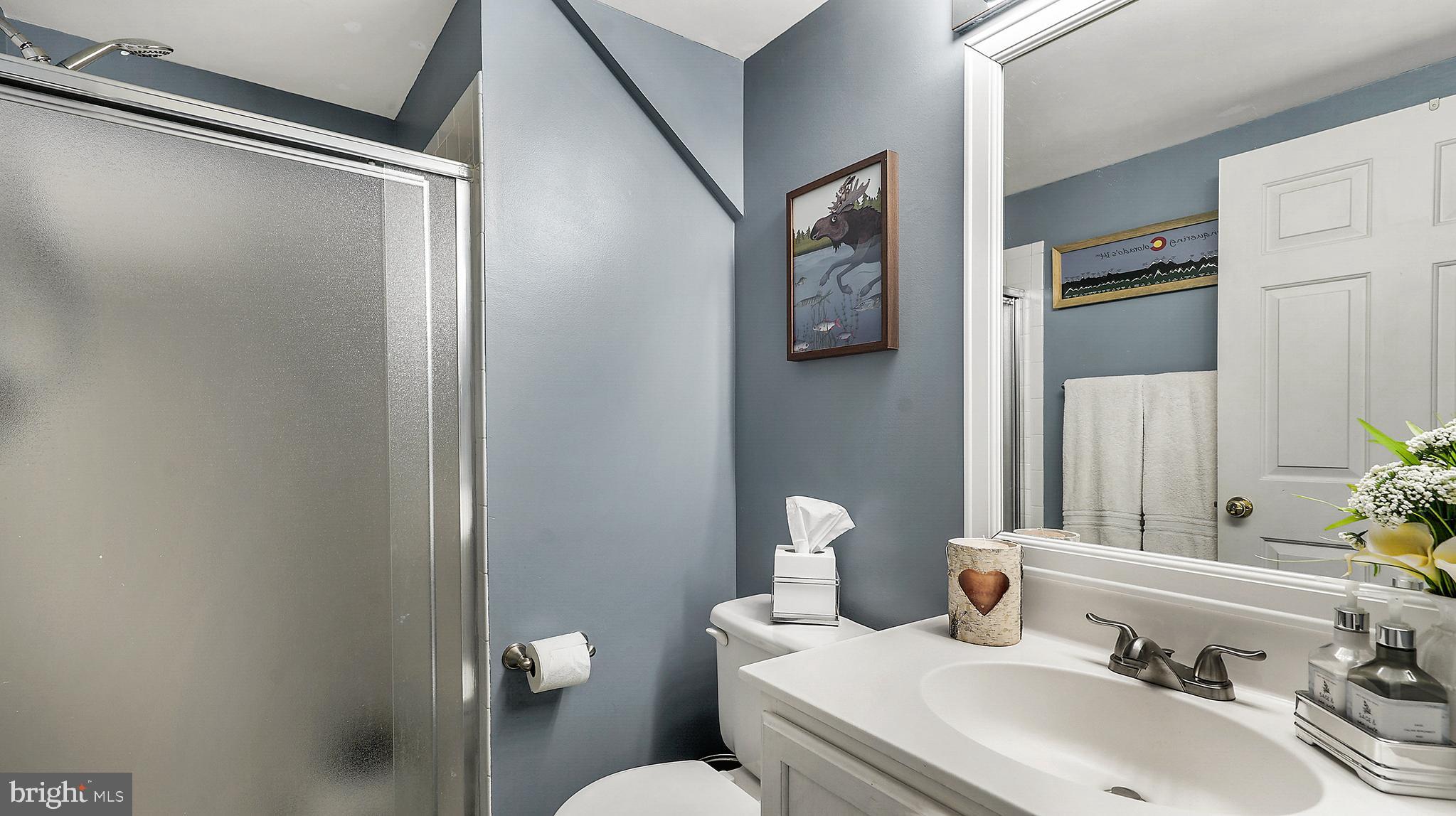 21103 Footstep Terrace Ashburn, VA 20147 - Photo 27 of 36 Full Bath