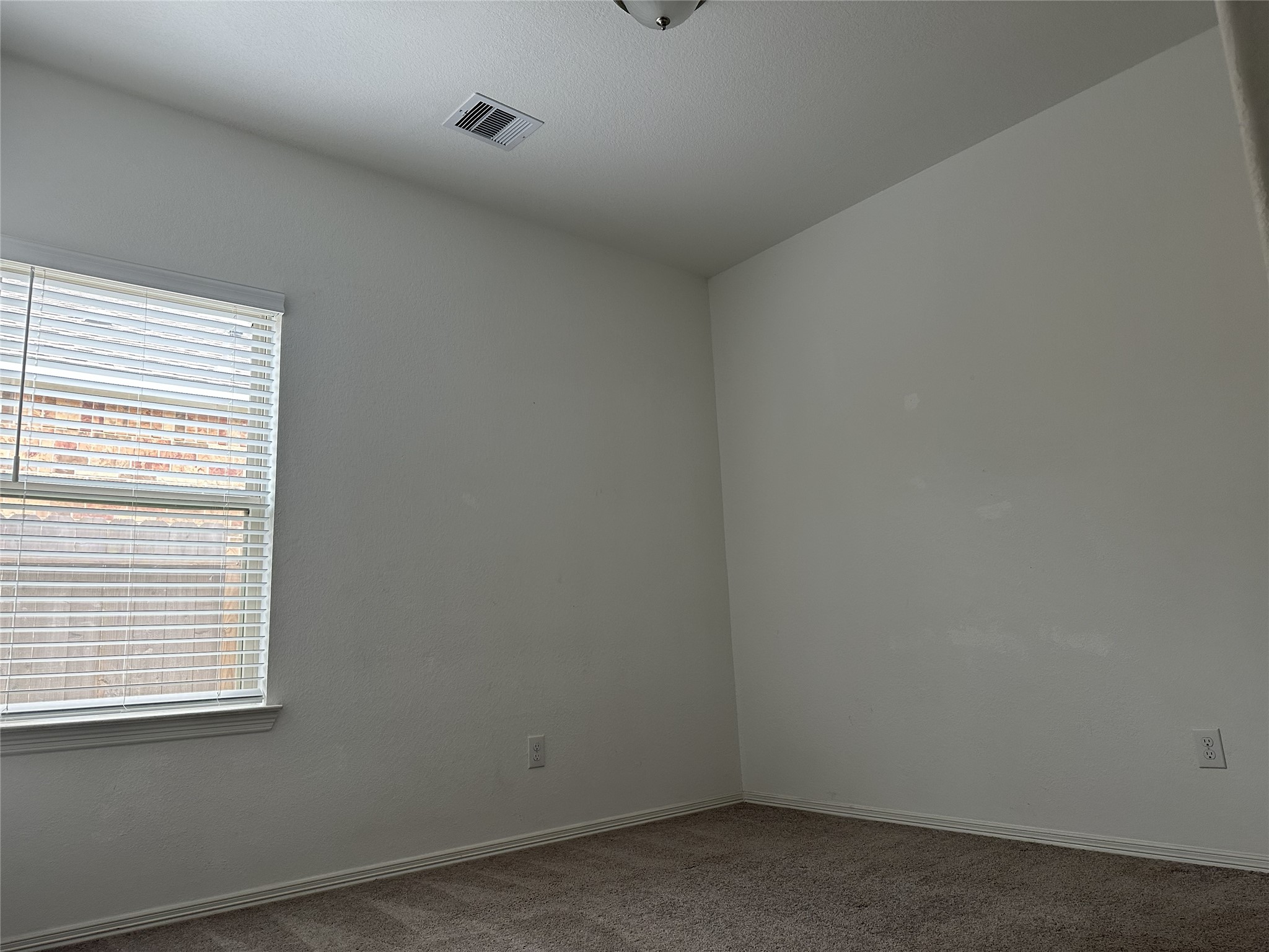 5739 Tabula Rasa Drive Katy, TX 77493 - Photo 19 of 29