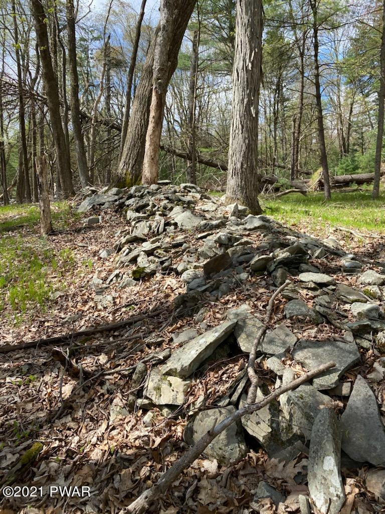 4-5 Park Road Dingmans Ferry, PA 18328 - Photo 10 of 13