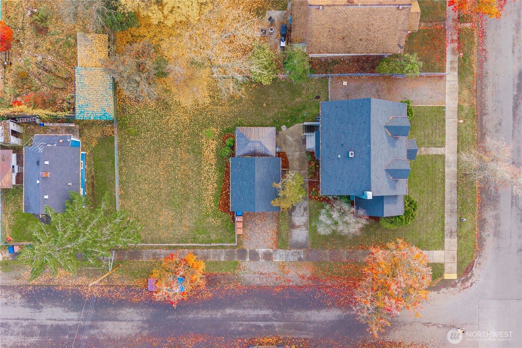 1001 South Prospect Street Tacoma, WA 98405 - Photo 10 of 40 an aerial view of a house with a yard and a large tree