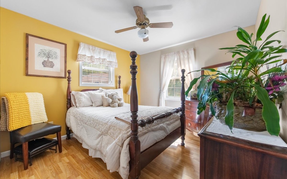 94 Mull Ln Circle Morganton, GA 30560 - Photo 37 of 67 a living room with furniture and a potted plant