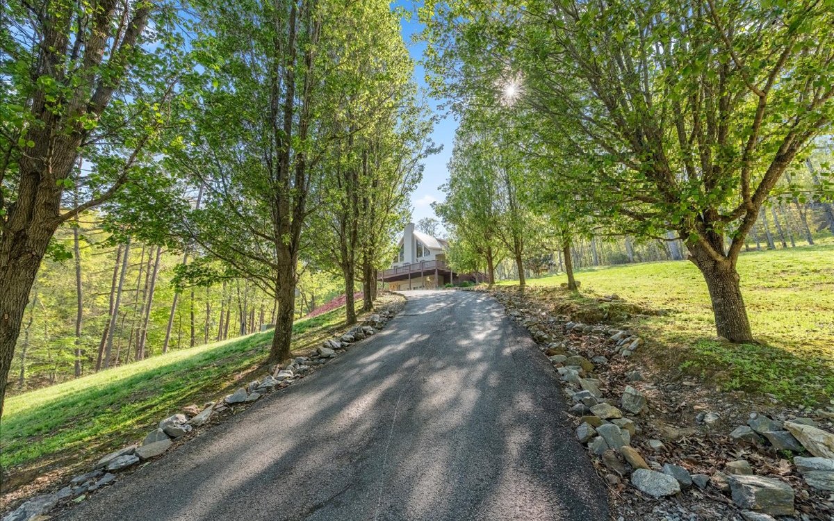94 Mull Ln Circle Morganton, GA 30560 - Photo 52 of 67 a view of a yard with an trees
