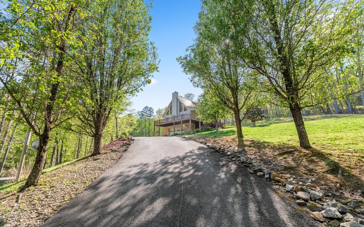 94 Mull Ln Circle Morganton, GA 30560 - Photo 53 of 67 a view of a yard with trees in the background