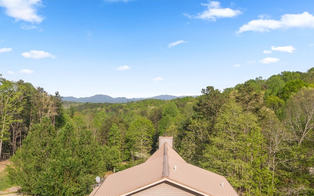 94 Mull Ln Circle Morganton, GA 30560 - Photo 6 of 67 a view of a city from a mountain