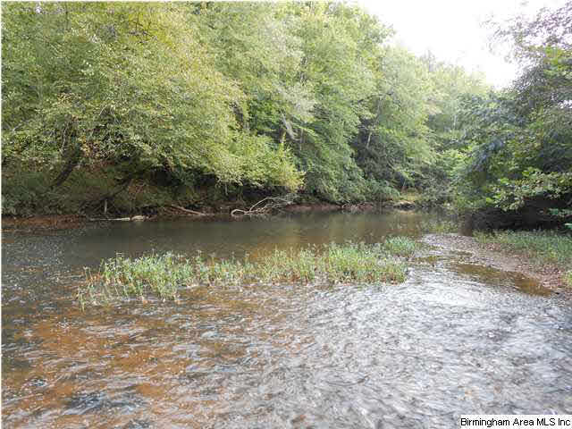 Meherg Road, Unit 28 Rockford, AL 35136 - Photo 1 of 25
