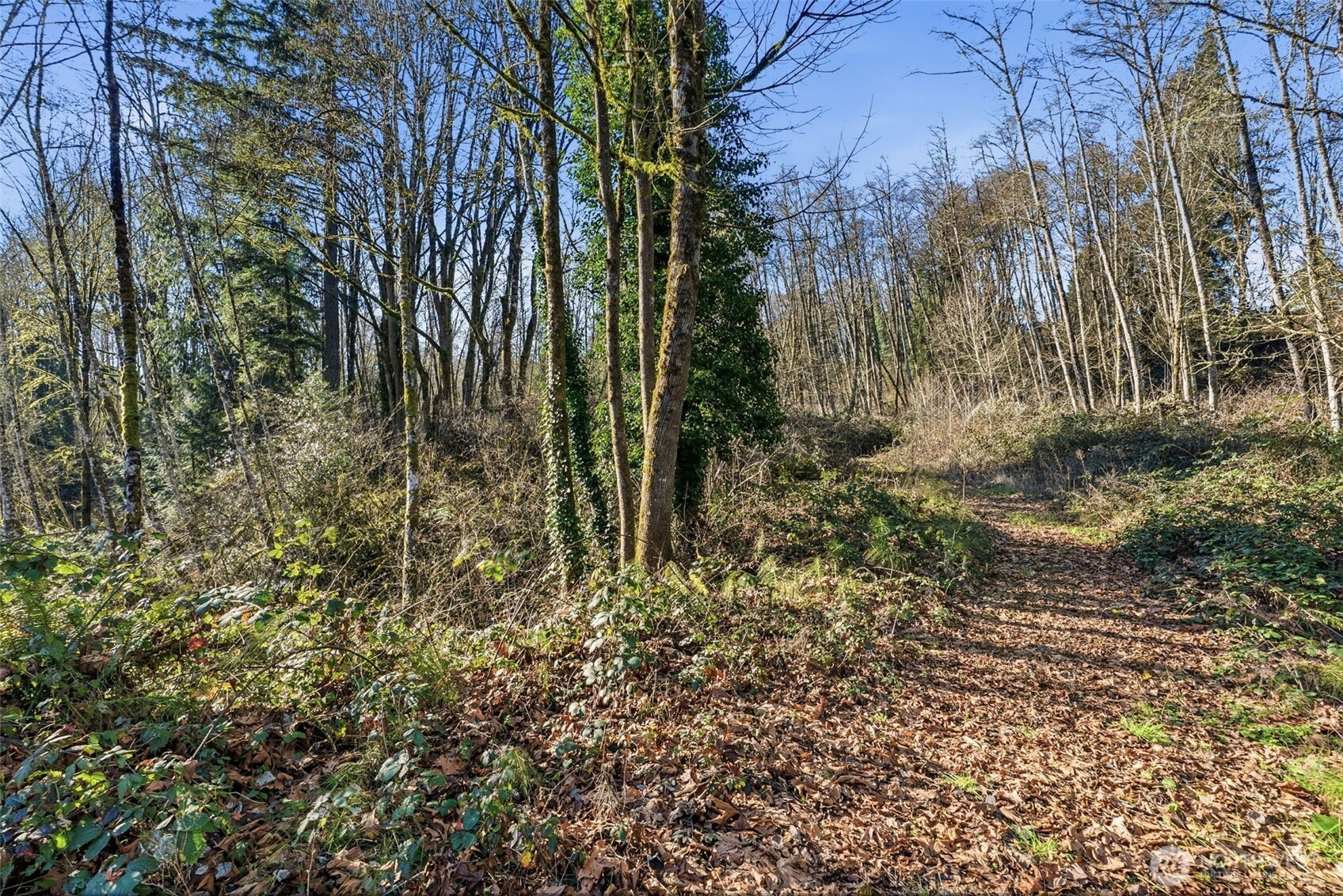 115 Alpha Drive Longview, WA 98632 - Photo 8 of 16