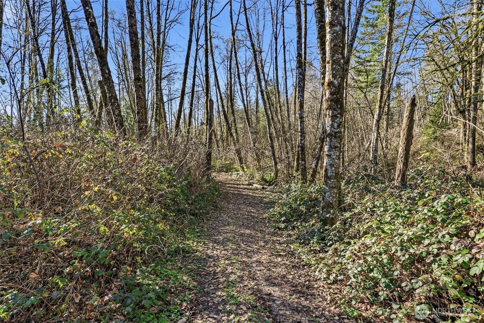 115 Alpha Drive Longview, WA 98632 - Photo 9 of 16