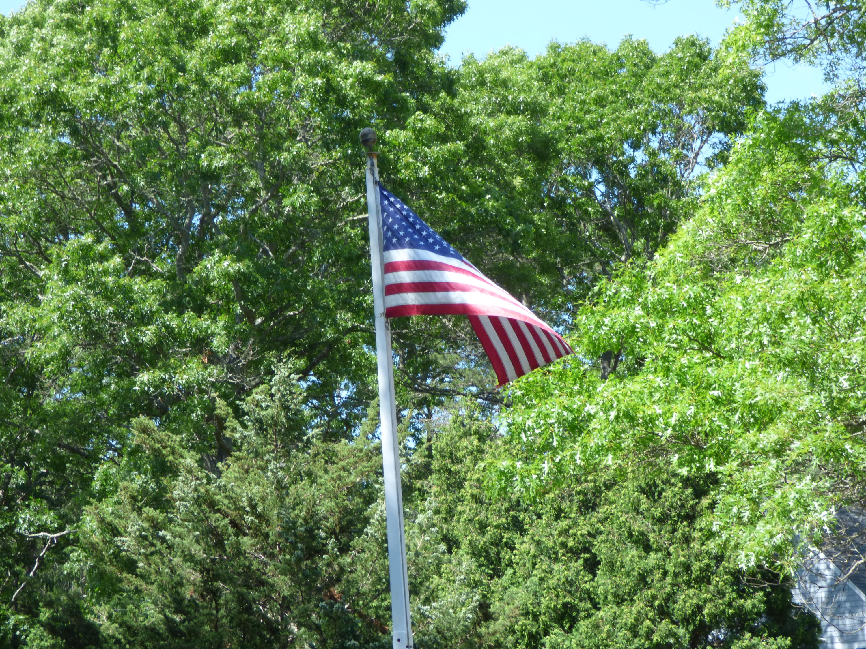 1415 Old Post Road Marstons Mills, MA 02648 - Photo 17 of 28 a view of a forest