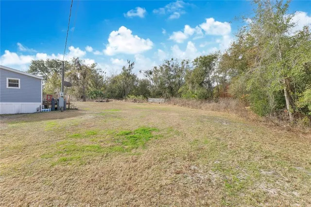 a view of a yard with an tree