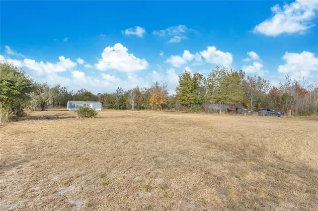 a view of large trees with a yard