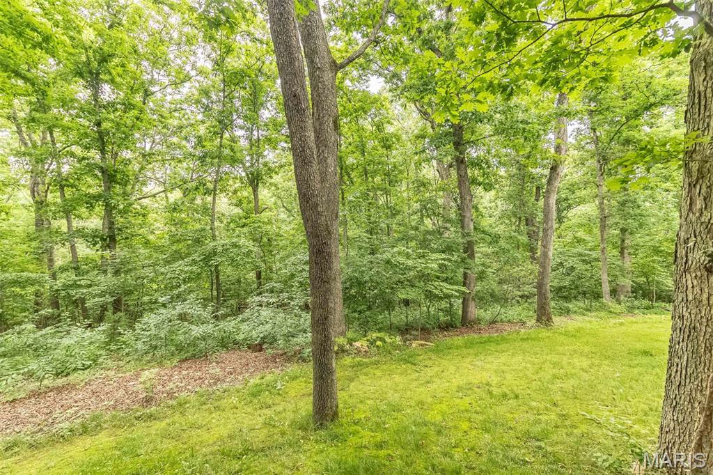 7 Walnut Ridge Court Defiance, MO 63341 - Photo 53 of 70