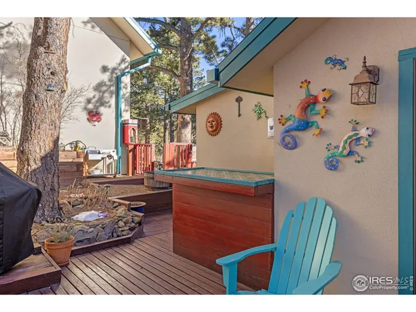 $969,500 | 2 King Place, Nederland, CO 80466