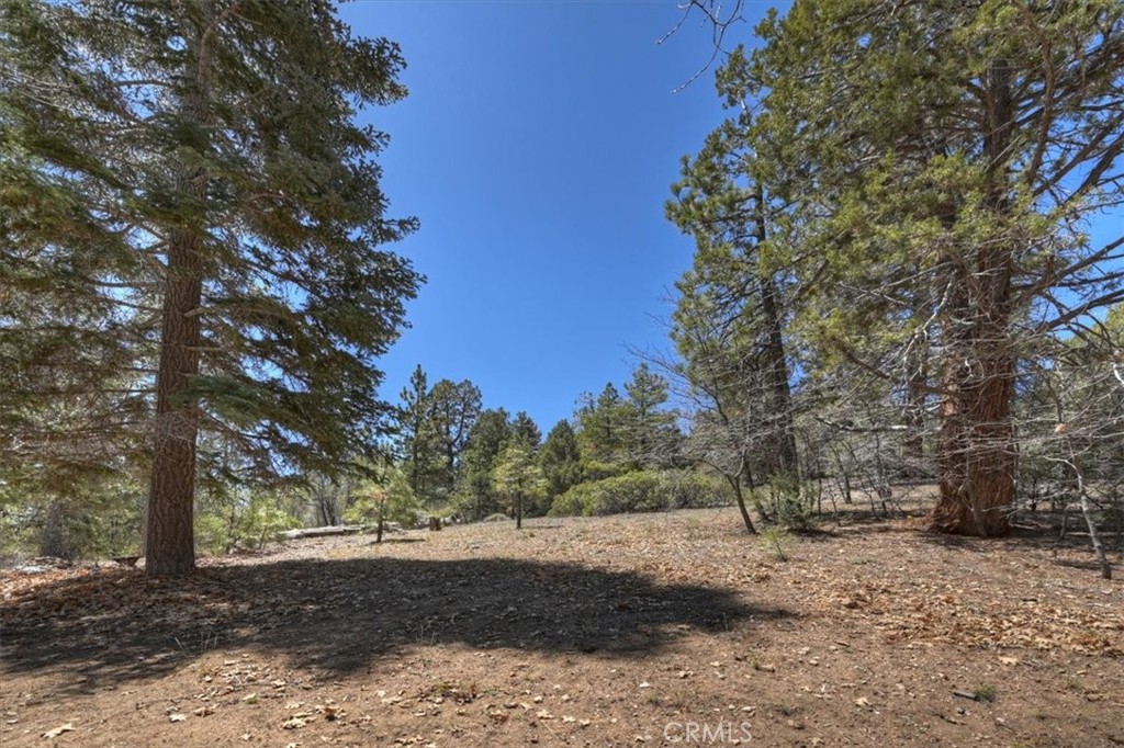 22 Polique Canyon Road Fawnskin, CA 92333 - Photo 33 of 42
