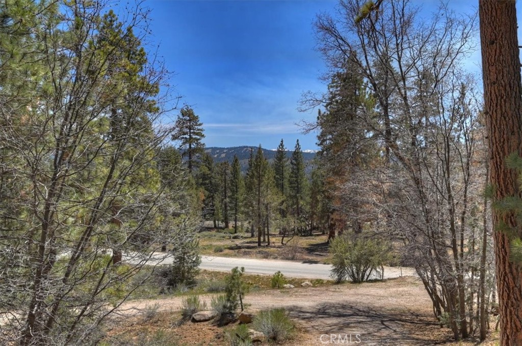 22 Polique Canyon Road Fawnskin, CA 92333 - Photo 37 of 42