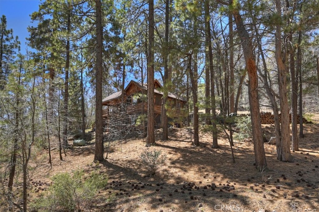 22 Polique Canyon Road Fawnskin, CA 92333 - Photo 39 of 42