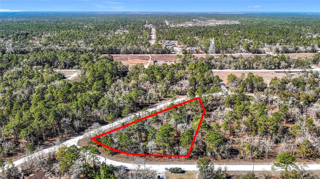 16070 Sheldrake Loop Weeki Wachee, FL 34614 - Photo 2 of 23