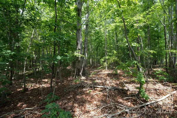 $229,900 | Tbd Catawba Valley Boulevard Southeast, Unit 731, Hickory, NC 28602