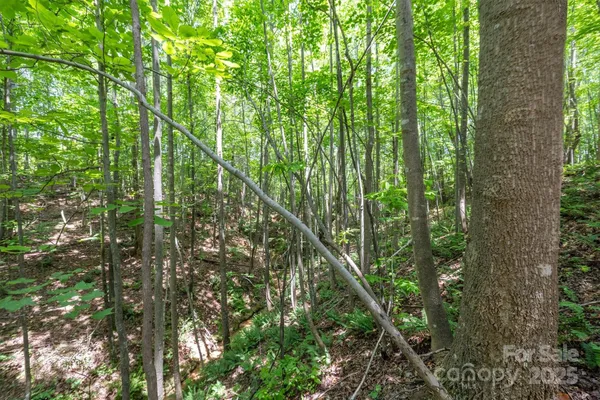 $229,900 | Tbd Catawba Valley Boulevard Southeast, Unit 731, Hickory, NC 28602
