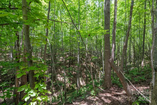 $229,900 | Tbd Catawba Valley Boulevard Southeast, Unit 731, Hickory, NC 28602