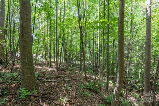 $229,900 | Tbd Catawba Valley Boulevard Southeast, Unit 731, Hickory, NC 28602