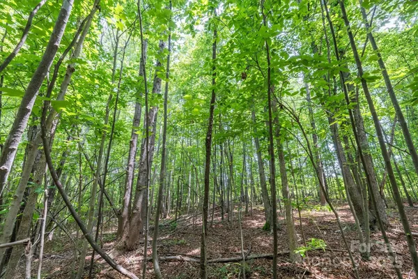$229,900 | Tbd Catawba Valley Boulevard Southeast, Unit 731, Hickory, NC 28602