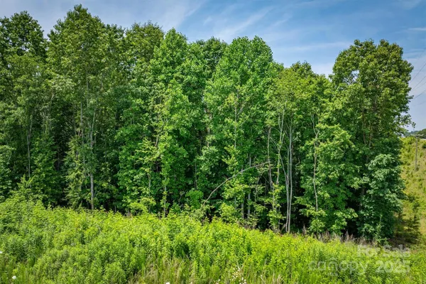 $229,900 | Tbd Catawba Valley Boulevard Southeast, Unit 731, Hickory, NC 28602