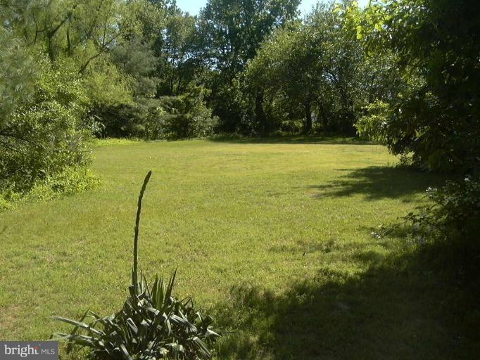 203 Sharp Road Denton, MD 21629 - Photo 6 of 10 Other #1
