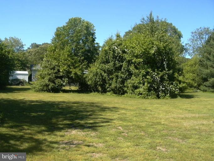 203 Sharp Road Denton, MD 21629 - Photo 8 of 10 Pear Trees