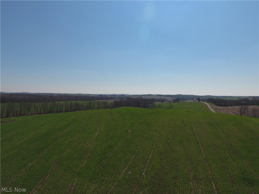 7130 Young Road Adamsville, OH 43802 - Photo 3 of 16 Rosan Echelberry Farm Auction 7130 Young Rd, Adamsville OH 43802