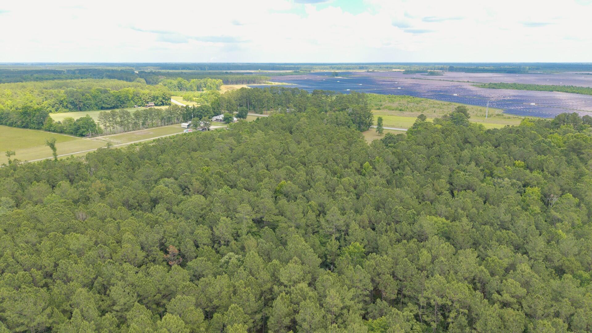 6222 Saints Delight Road, Unit LOT 8A Georgetown, SC 29440 - Photo 23 of 27