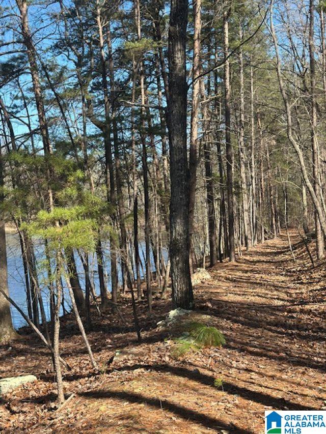 1 Mountain Top Road, Unit 1 Trussville, AL 35173 - Photo 2 of 17