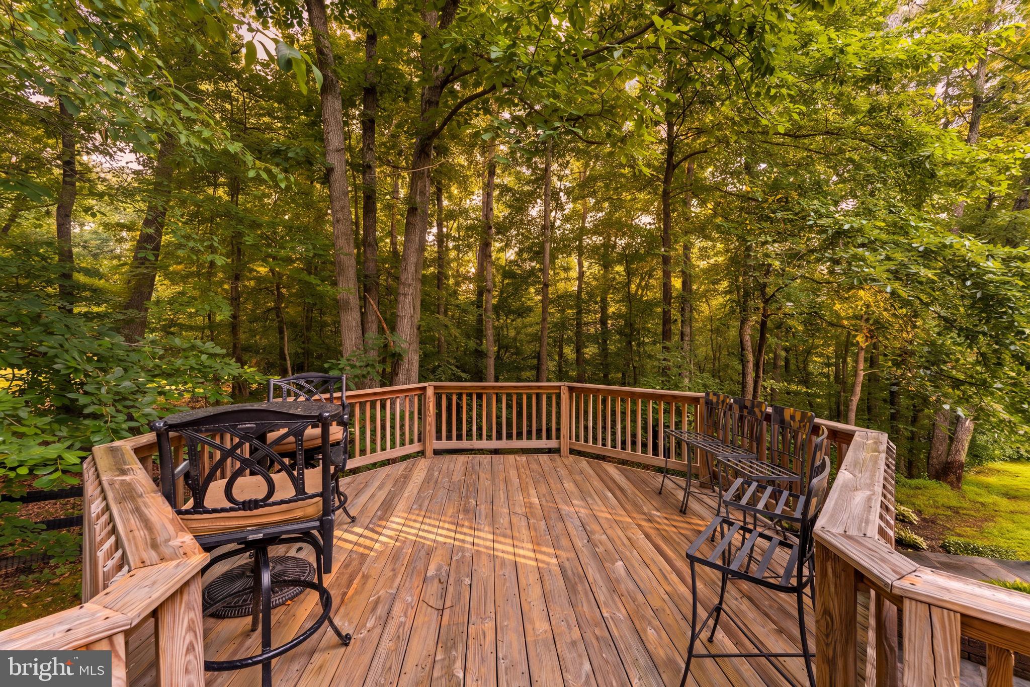 4531 Den Haag Road Warrenton, VA 20187 - Photo 89 of 103 a view of a chairs and table on the deck