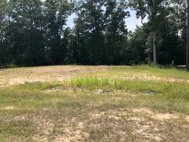 19 Daffodil Farm Road Bluffton, SC 29910 - Photo 1 of 1 Gallery Image 1