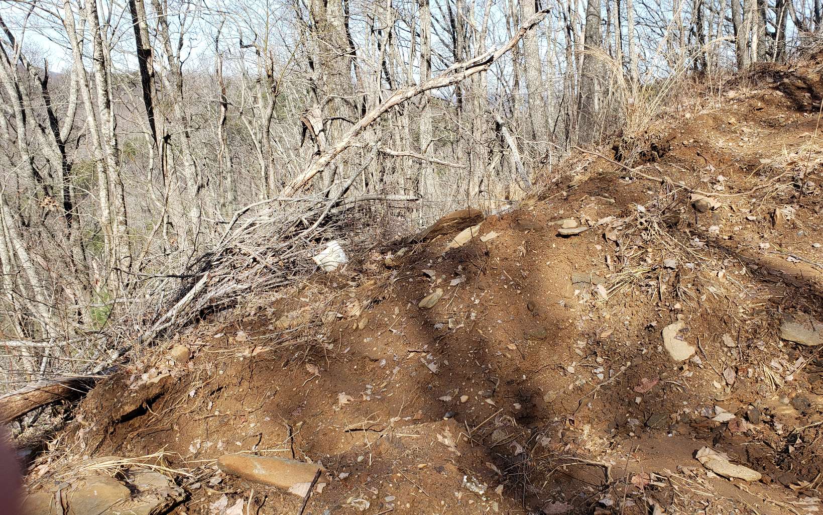 28 A Sassafras Ridge Road Turtletown, TN 37391 - Photo 13 of 25 Additional View