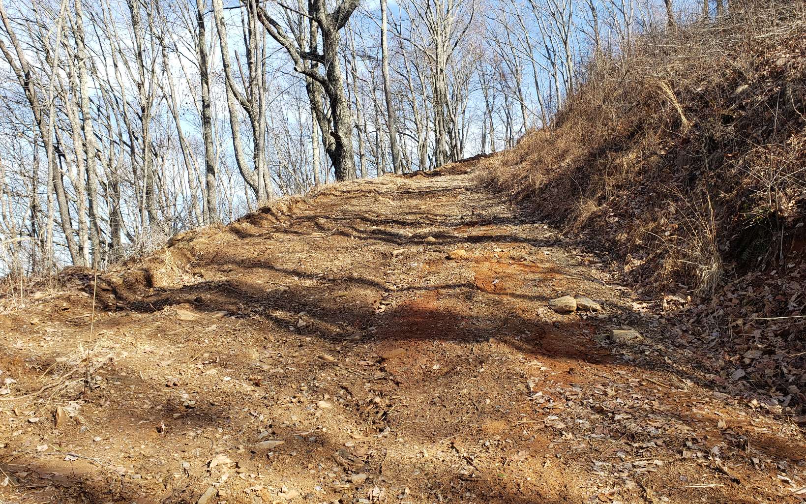 28 A Sassafras Ridge Road Turtletown, TN 37391 - Photo 14 of 25 Additional View