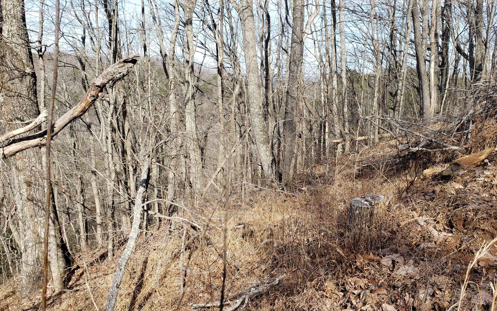 28 A Sassafras Ridge Road Turtletown, TN 37391 - Photo 15 of 25 Additional View