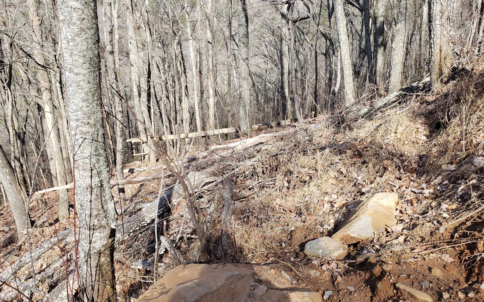 28 A Sassafras Ridge Road Turtletown, TN 37391 - Photo 17 of 25 Additional View