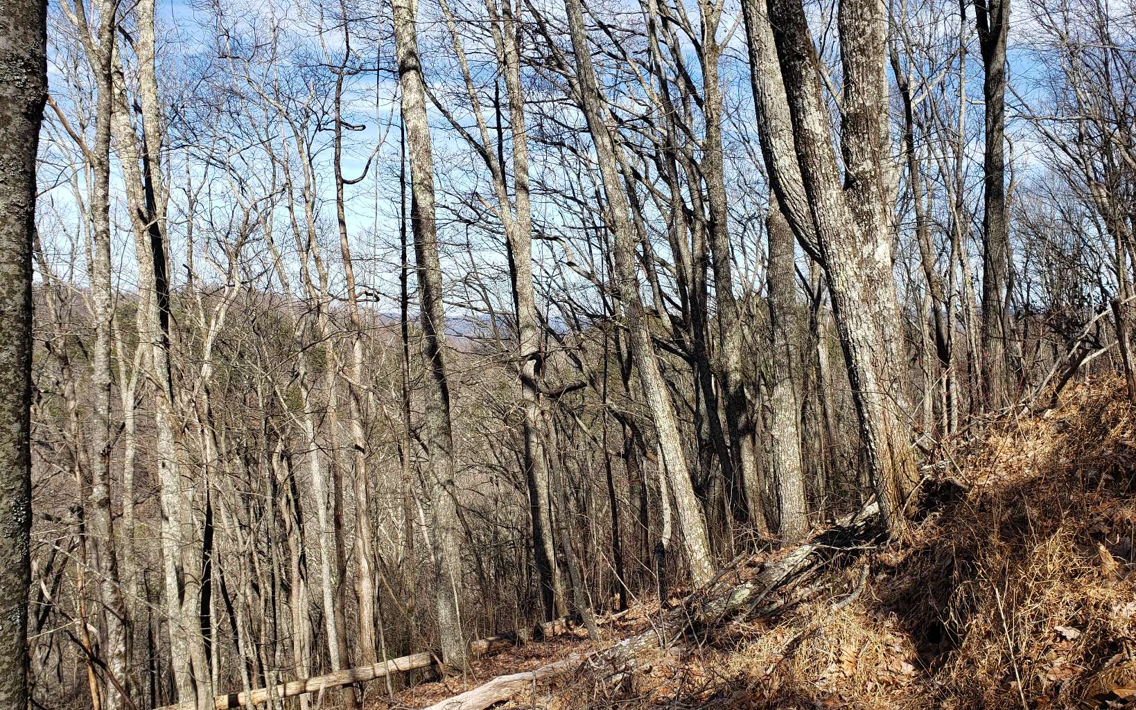 28 A Sassafras Ridge Road Turtletown, TN 37391 - Photo 20 of 25 Additional View