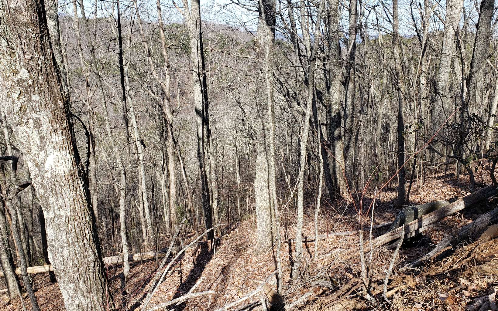 28 A Sassafras Ridge Road Turtletown, TN 37391 - Photo 21 of 25 Additional View