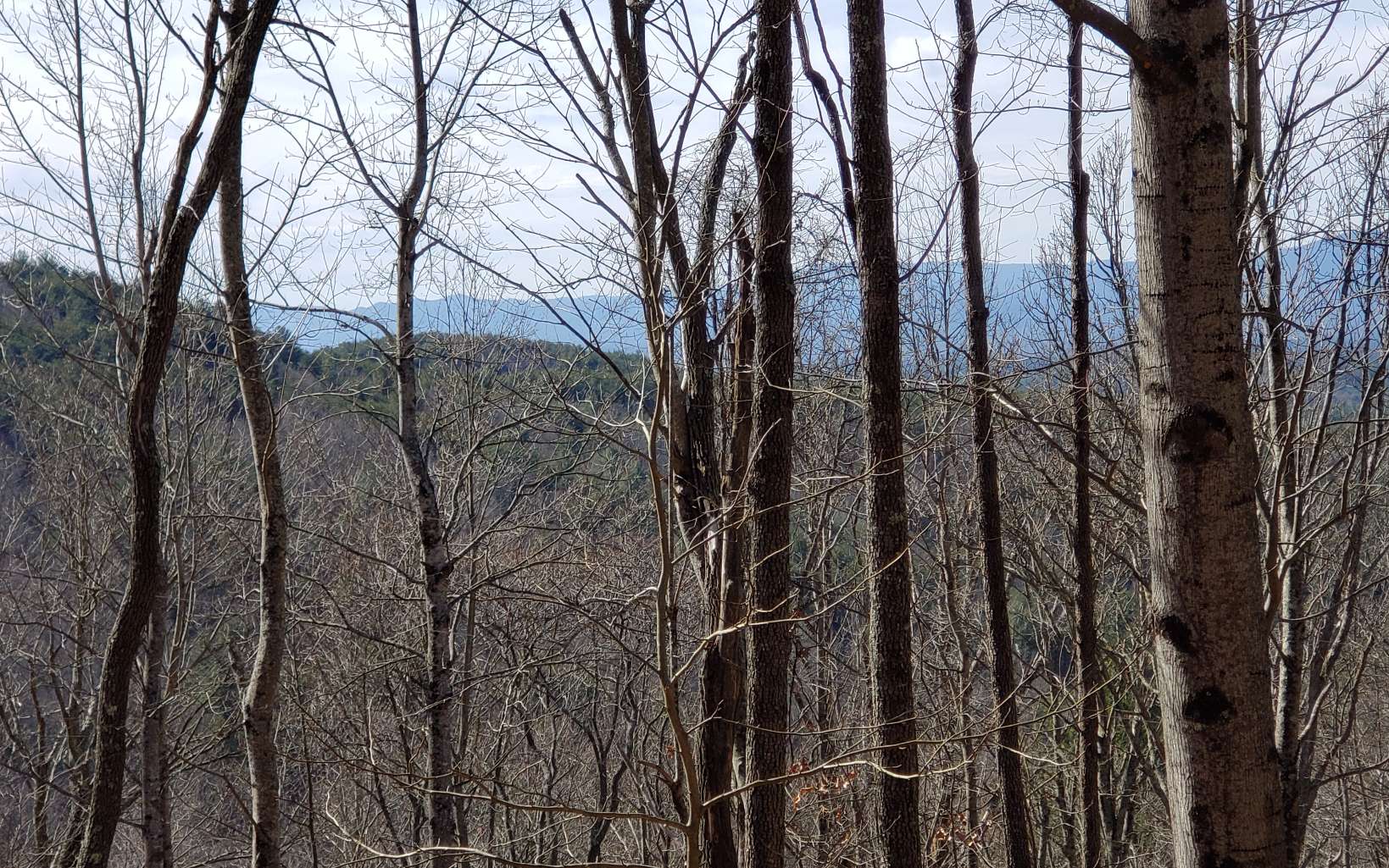 28 A Sassafras Ridge Road Turtletown, TN 37391 - Photo 3 of 25 Additional View