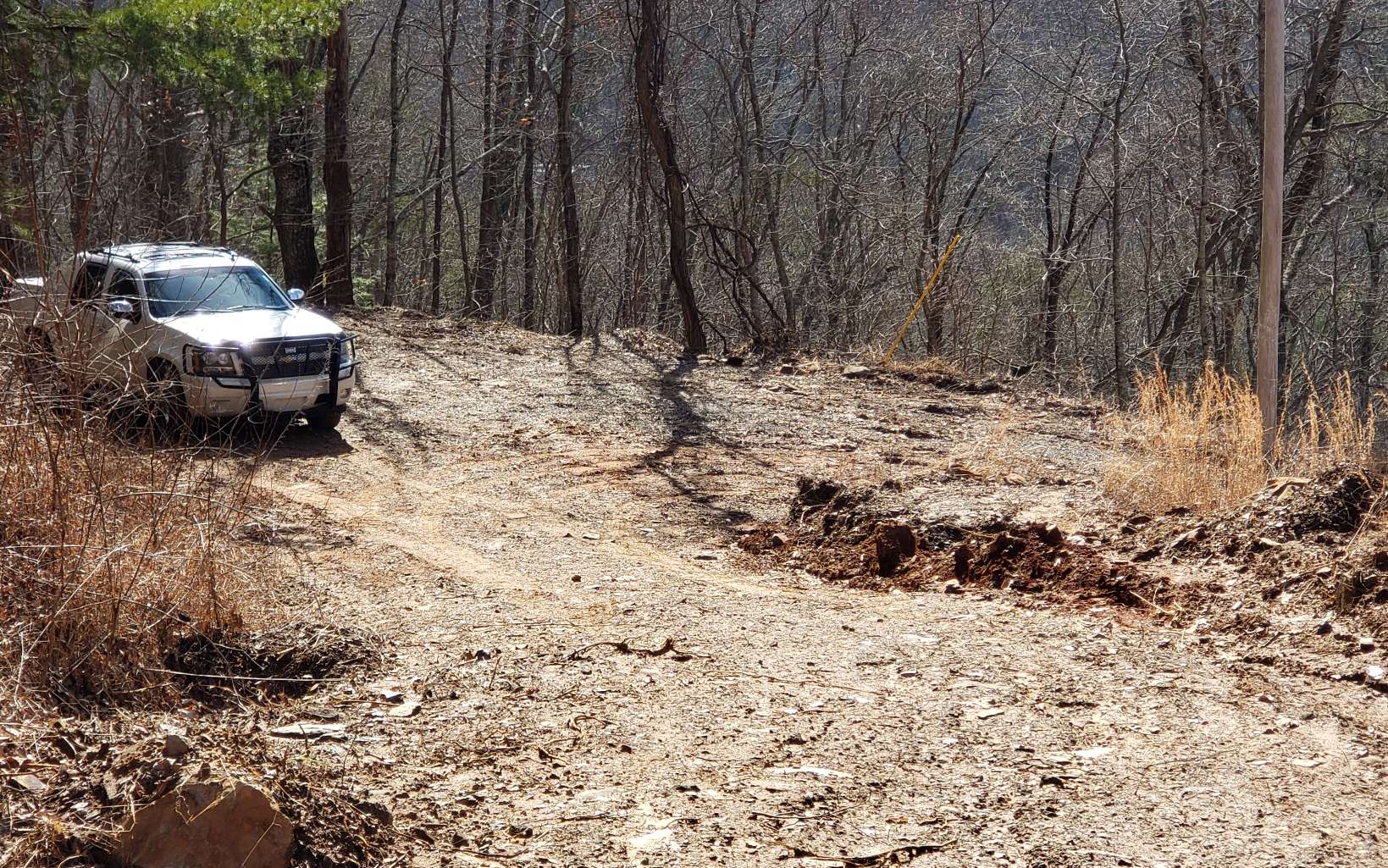 28 A Sassafras Ridge Road Turtletown, TN 37391 - Photo 4 of 25 Additional View