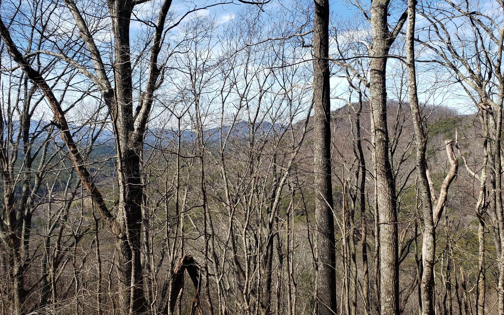 28 A Sassafras Ridge Road Turtletown, TN 37391 - Photo 8 of 25 Additional View